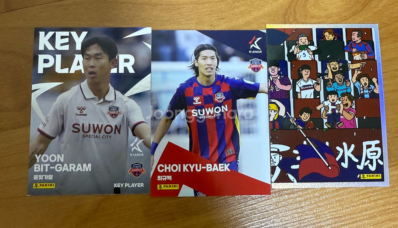 2025 K리그 파니니 카드 수원 fc--0