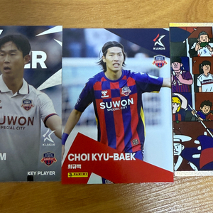 2025 K리그 파니니 카드 수원 fc