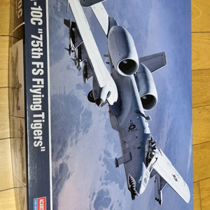 A-10C 플라잉타이거즈/썬더볼트