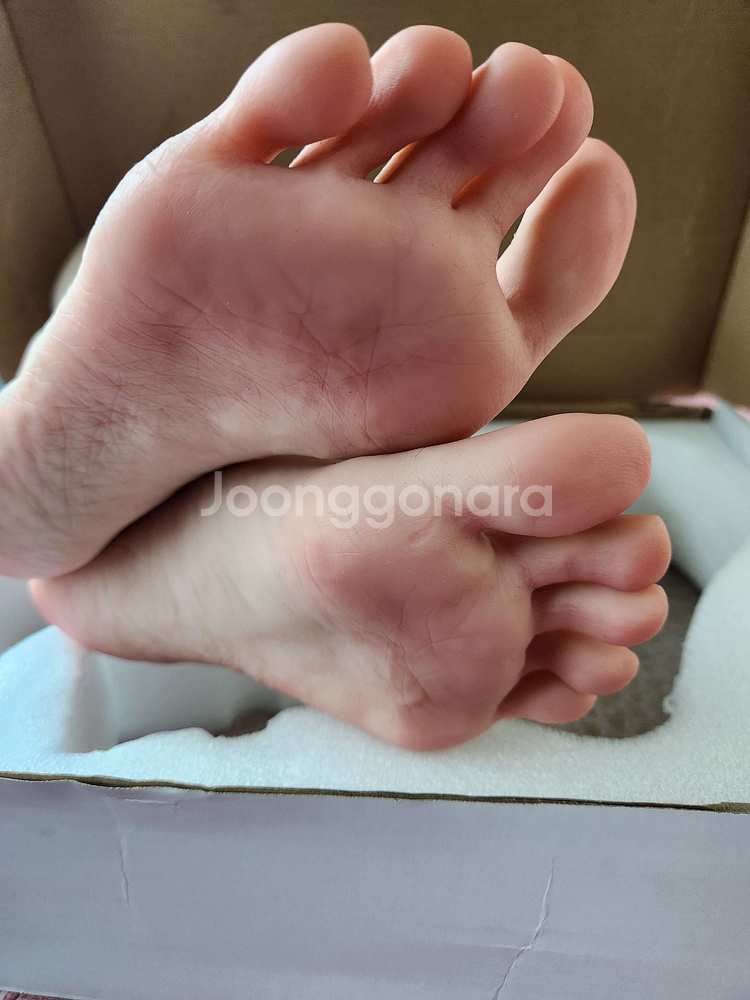 실제 발과 거의 유사한 실리콘 모형 발 팝니다--5