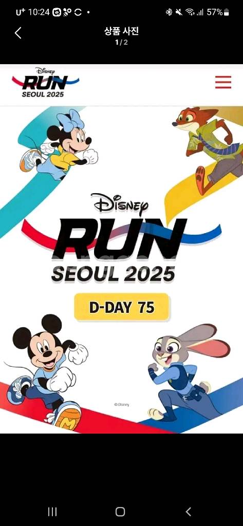 2025 디즈니런 10km 양도합니다 (남)--0