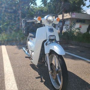혼다 22년식 슈퍼커브 12@@@km