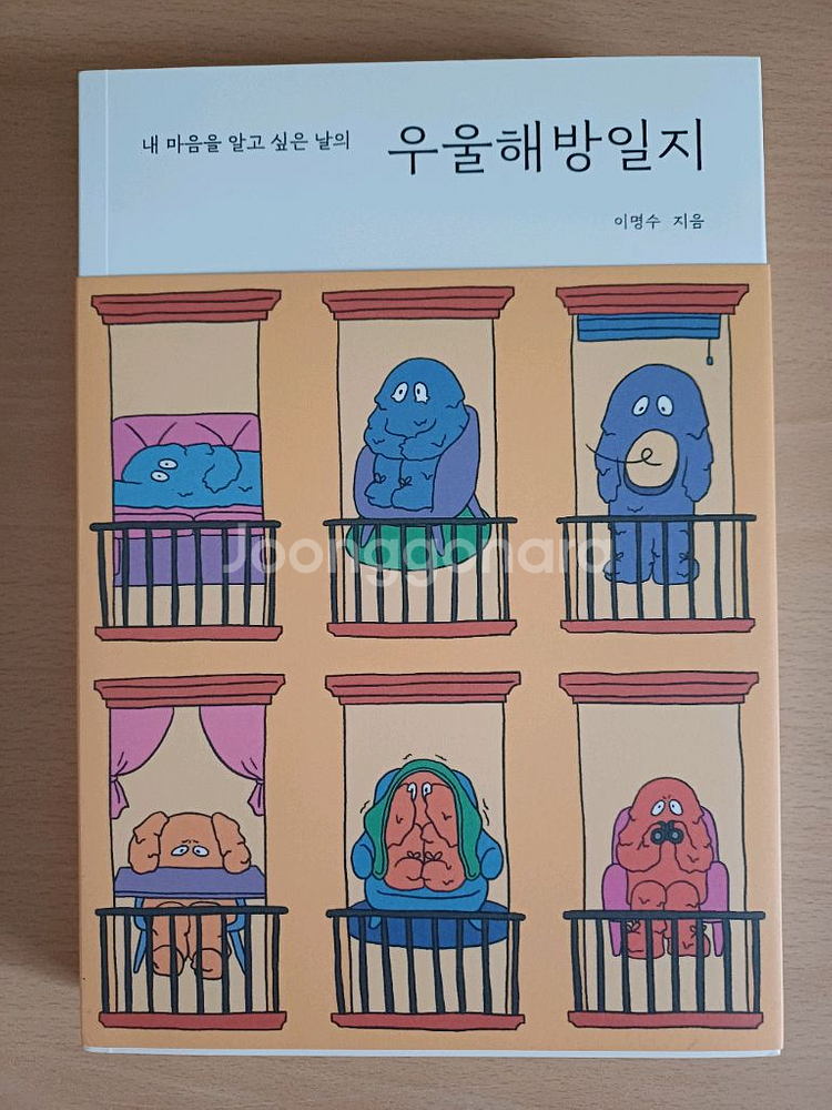 책 우울해방일지--0