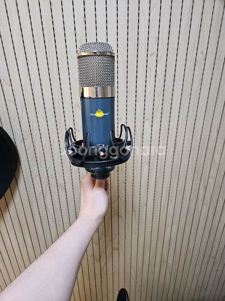 Chandler limited TG Mic + 라이코테--3