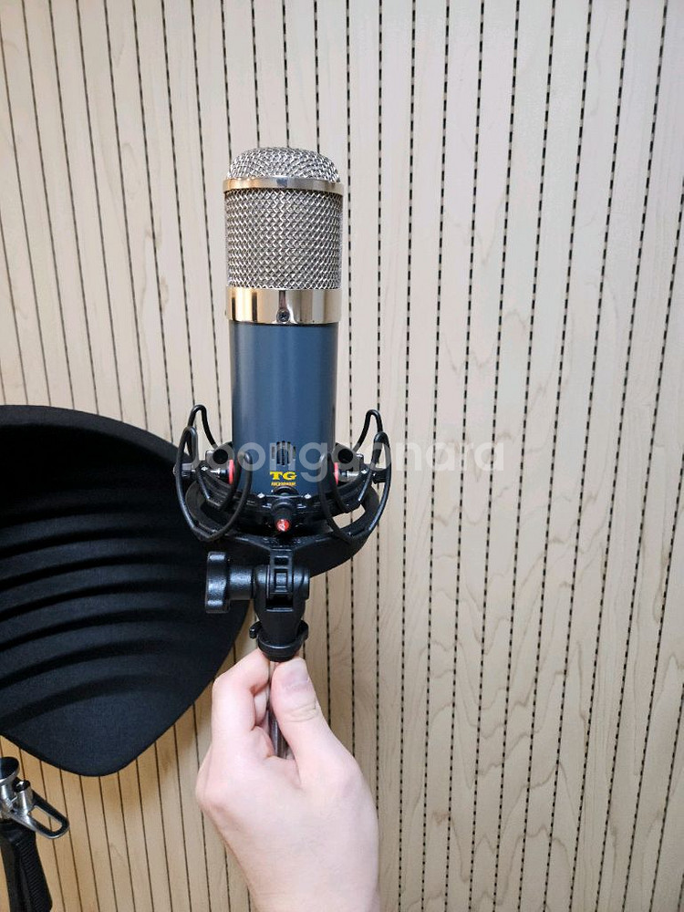 Chandler limited TG Mic + 라이코테--5