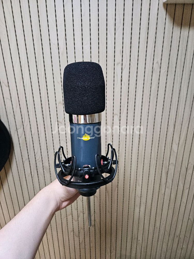 Chandler limited TG Mic + 라이코테--6