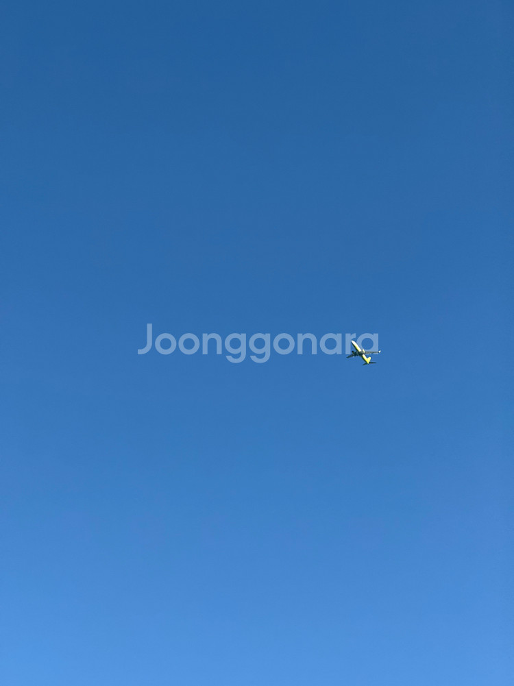 카러플 플라즈마 이상 대장차 1로 삽니다--0