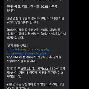 2025 디즈니런 티켓 양도
