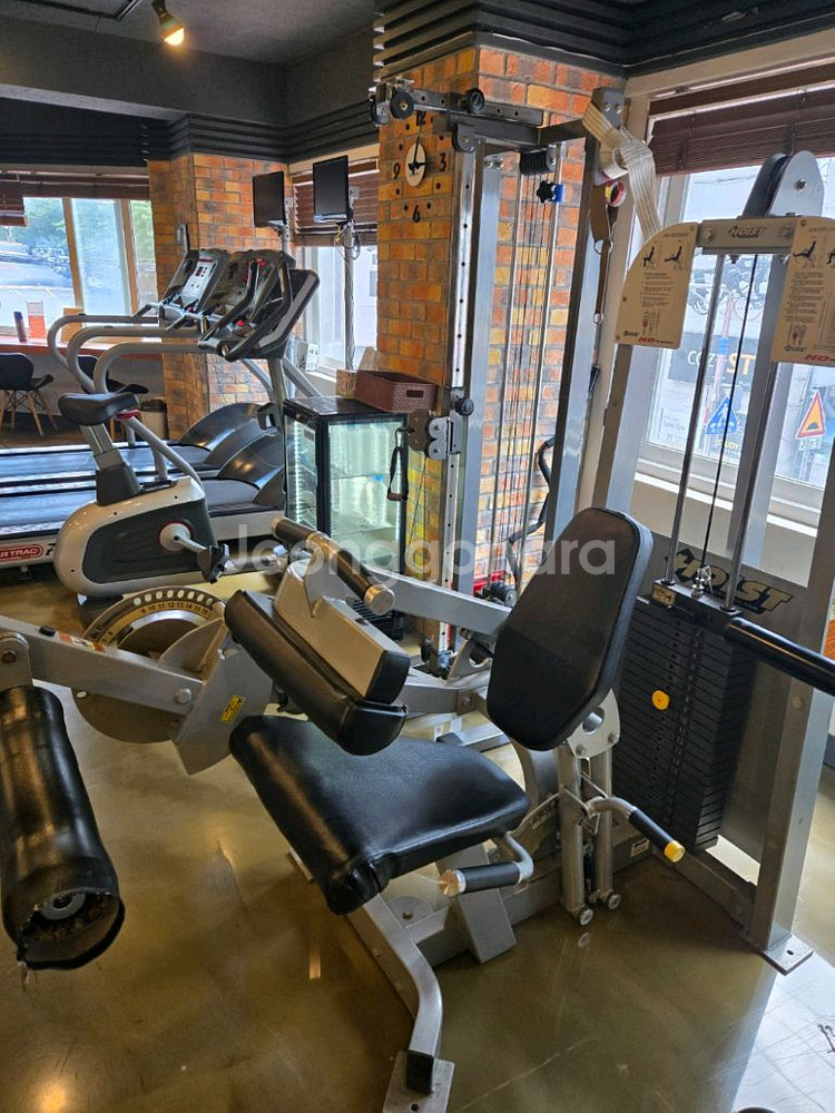 호이스트 레그익스&컬 듀얼 머신 판매합니다--0