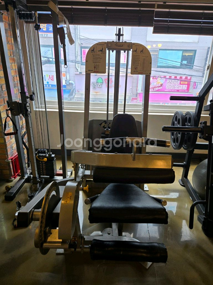 호이스트 레그익스&컬 듀얼 머신 판매합니다--4