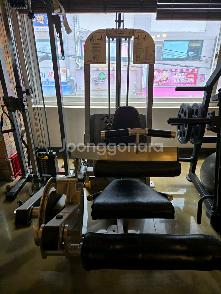 호이스트 레그익스&컬 듀얼 머신 판매합니다--6