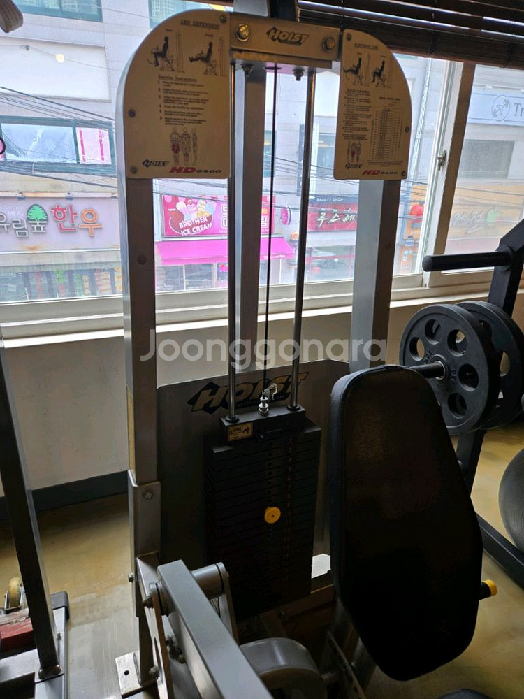 호이스트 레그익스&컬 듀얼 머신 판매합니다--3