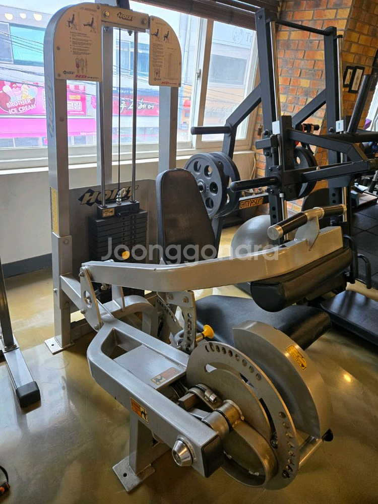 호이스트 레그익스&컬 듀얼 머신 판매합니다--2