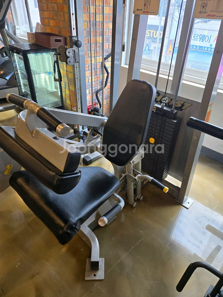 호이스트 레그익스&컬 듀얼 머신 판매합니다--1