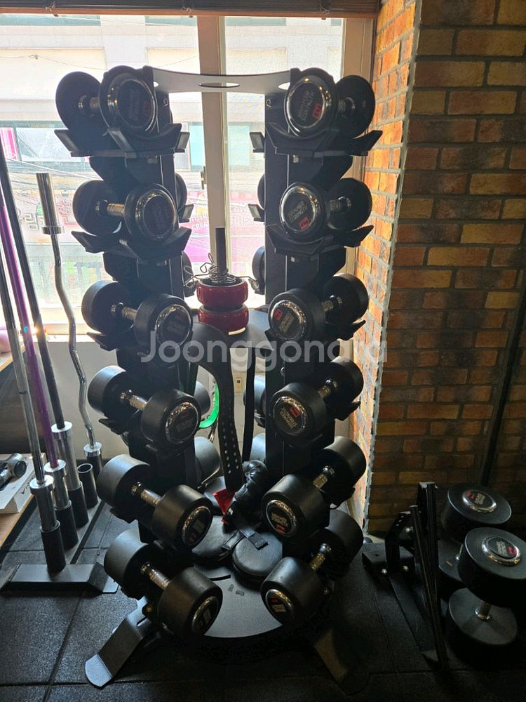뉴텍 회전식 덤벨렉 판매합니다--0