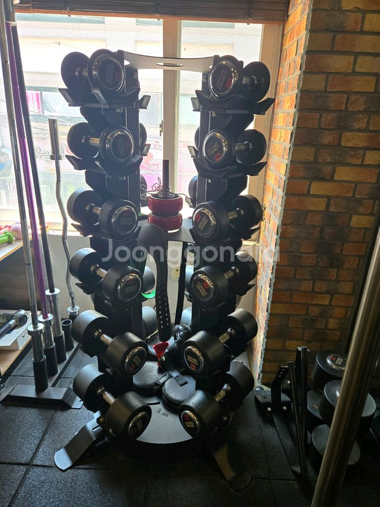 뉴텍 회전식 덤벨렉 판매합니다--2