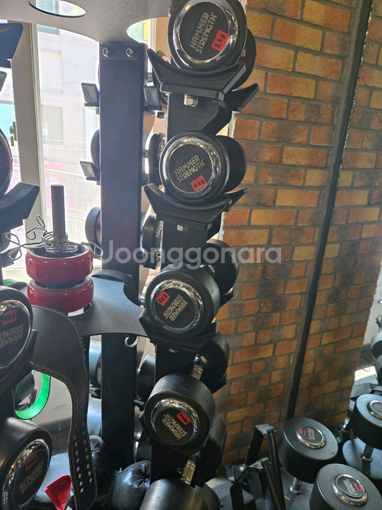 뉴텍 회전식 덤벨렉 판매합니다--3