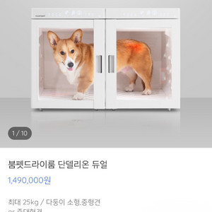 붐펫 드라이룸 단델리온 듀얼
