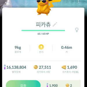 포켓몬고 발렌시아 로케 배경 이로치 피카츄 판매