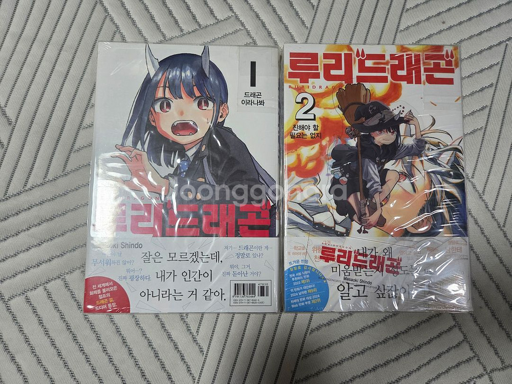 광선하제님 루리드래곤--0