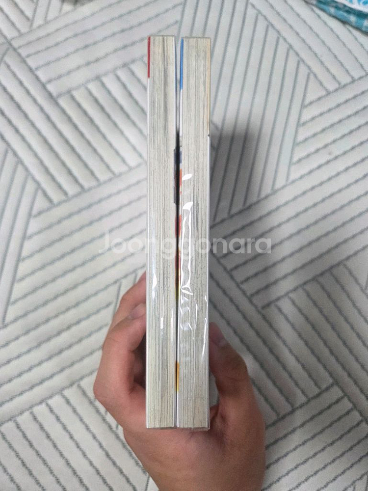 광선하제님 루리드래곤--4