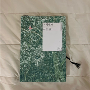치치새가 사는 숲 소설 책