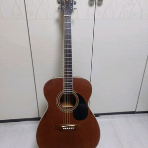 Dexter 덱스터 DOM-16M OP 통기타