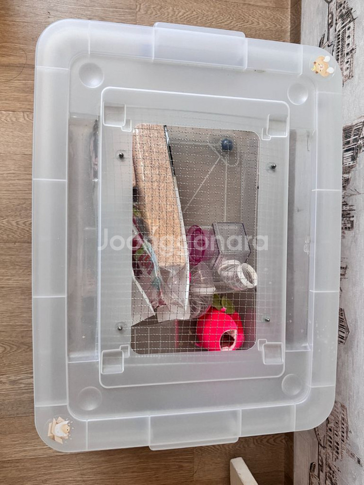 햄스터용품 판매--1