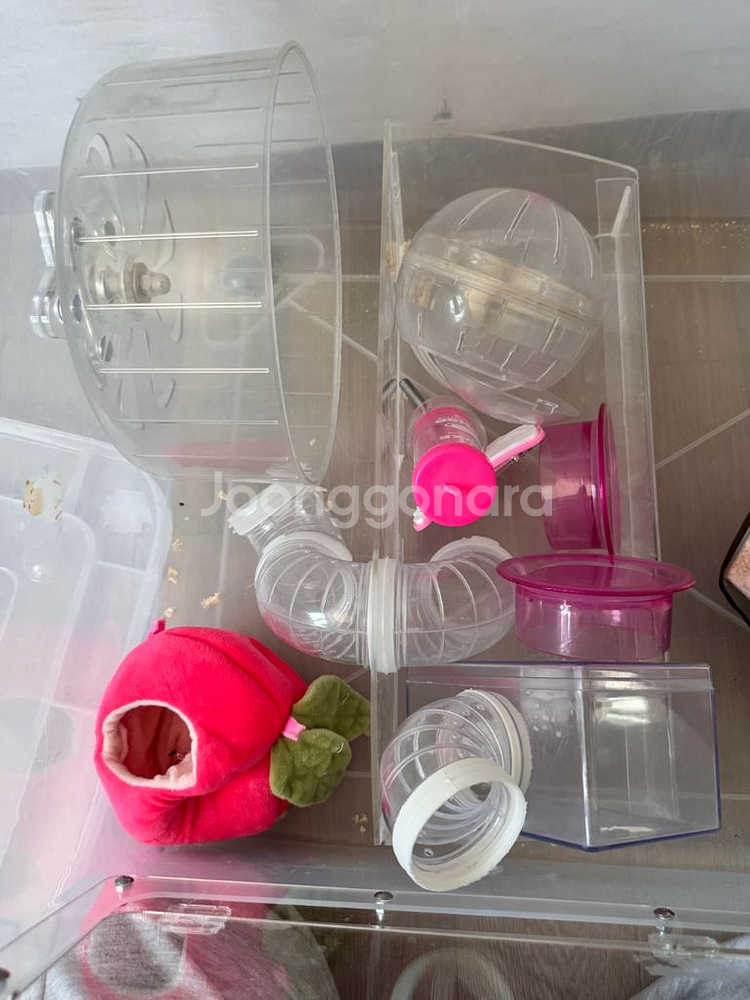 햄스터용품 판매--3