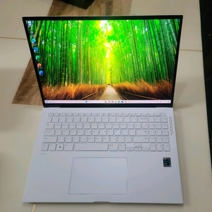 LG그램 노트북 16Z95P, 16인치, 16/512G