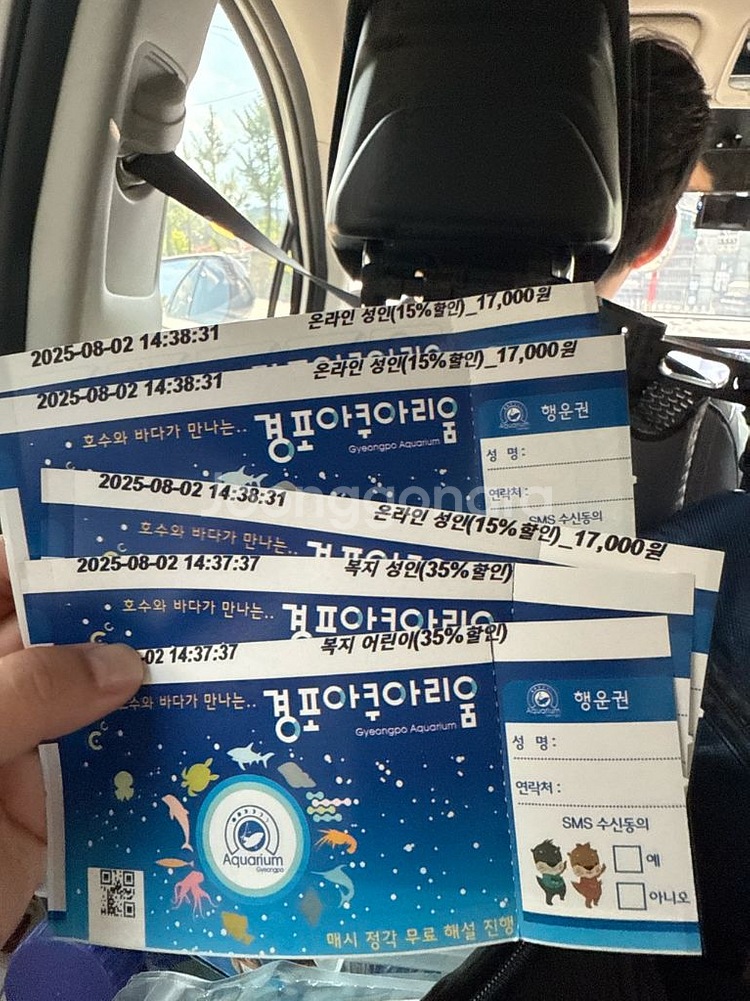 경포 아쿠아리움 50퍼센트쿠폰--0