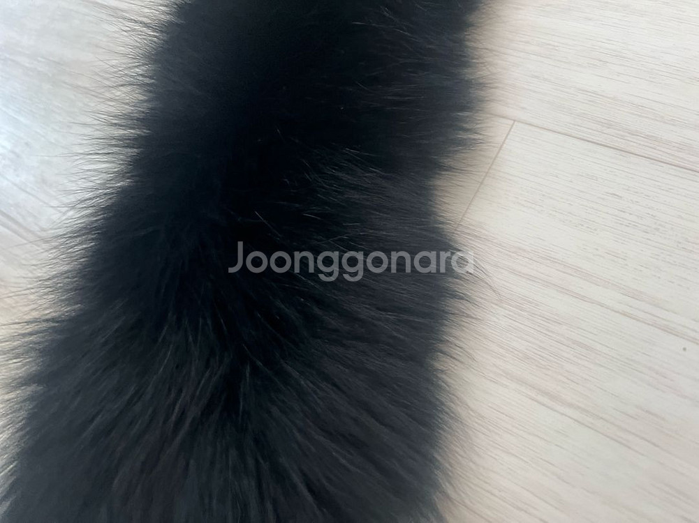 검정색 라쿤 퍼 칼라 목도리 7x50cm깨끗하고 바로--1