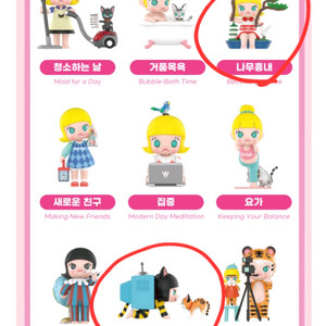 몰리 용기내기