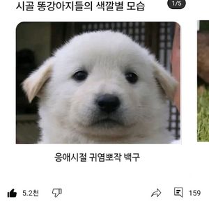 아이패드 미니6