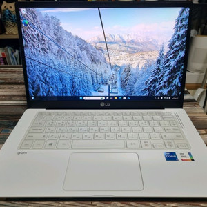 LG그램 14Z95N-GP50ML화이트
