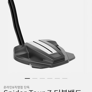 스파이더 투어 Z 퍼터