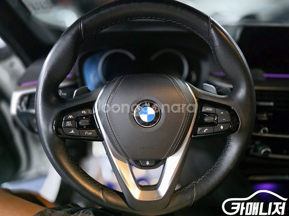 [BMW]5시리즈 (G30) 520d M 스포츠 플러스--9