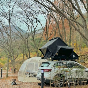 블랙스톤 루프탑텐트 2인용