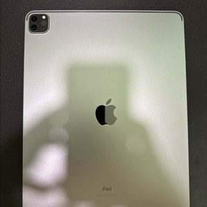 iPad Pro 12.9 5세대 m1 256gb