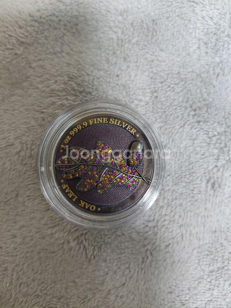 2019넌 케르마니아 오크 리프 은화 기념--0