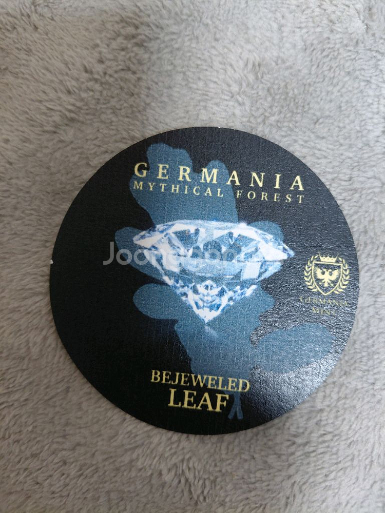 2019넌 케르마니아 오크 리프 은화 기념--2