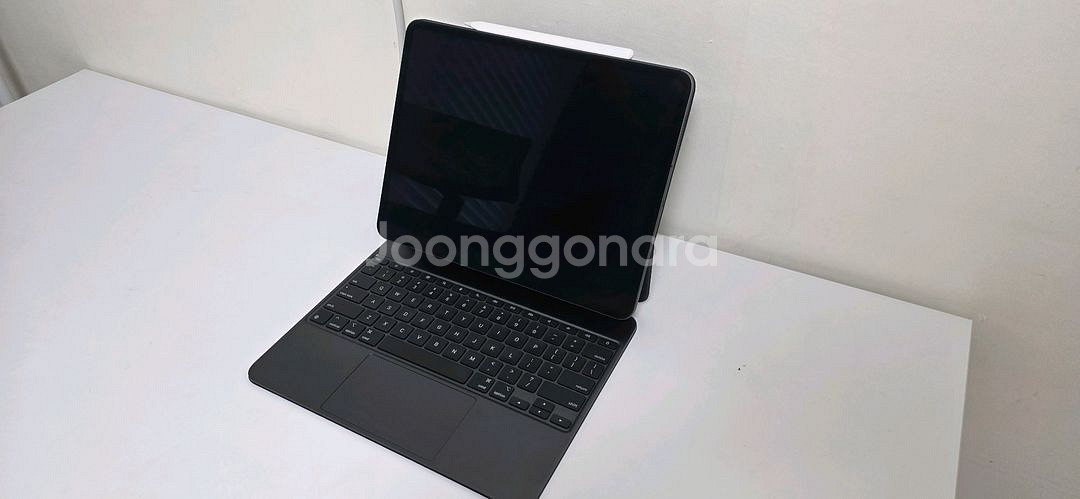 아이패드프로 m4 13인치 256g 셀룰러 애케플--0