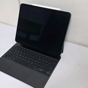 아이패드프로 m4 13인치 256g 셀룰러 애케플
