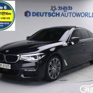 [BMW]5시리즈 (G30) 530i xDrive 럭셔