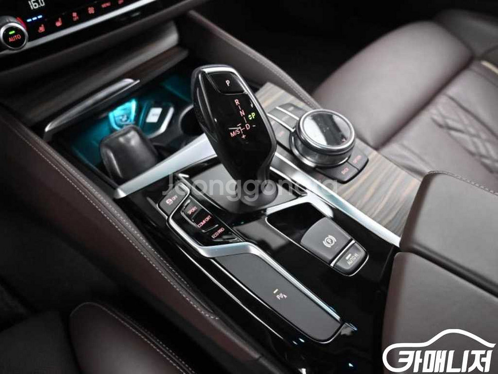[BMW]5시리즈 (G30) 530i xDrive 럭셔--8