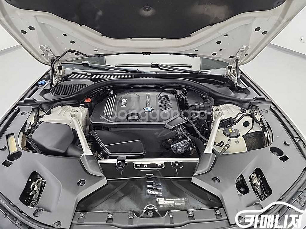 [BMW]5시리즈 (G30) 520d xDrive 럭셔--4