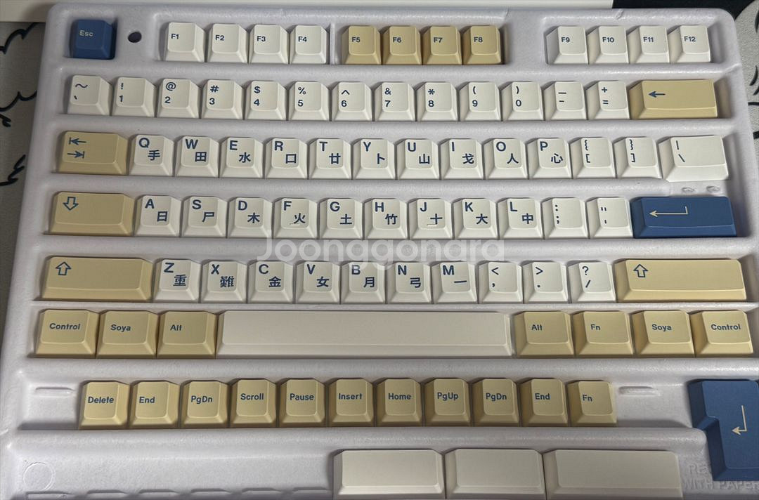 gmk soyamilk 키캡--0