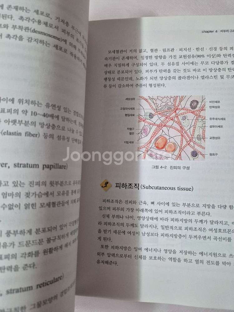 화장품학(무료배송)--2