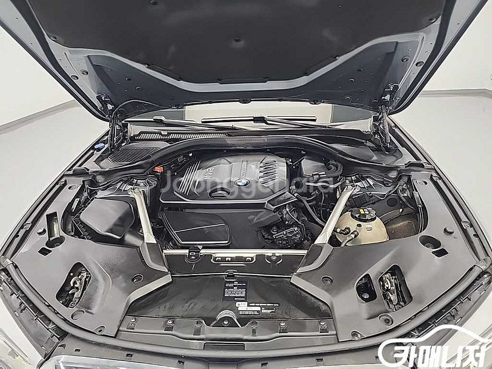 [BMW]5시리즈 (G30) 520d xDrive M--4