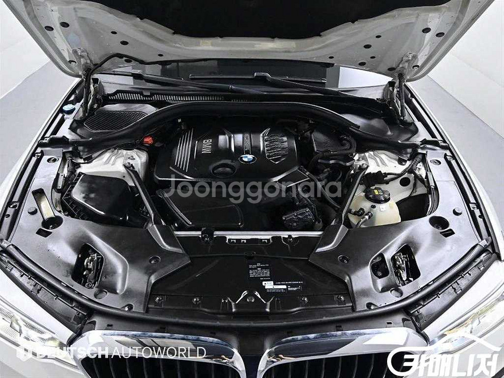 [BMW]5시리즈 (G30) 520d xDrive M--5